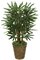 3 feet Lady Palm - 50 Fronds - Natural Trunks- FIRE RETARDANT