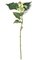 30" Begonia Spray - 1 White/Light Green Flower Cluster - 1 Bud