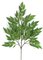 30" Mahonia Branch - 118 Green Leaves - 16" Width - FIRE RETARDANT