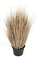 30 inches PVC Onion Grass - Brown - 14 inches Width - Weighted Base
