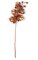 31" Plastic Butterfly Orchid Spray - 5 Copper Flowers - 3 Buds