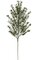 31 inches Ruscus Branch - 476 Leaves - Green
