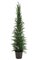 33 inches Plastic Pine Slim Christmas Tree with Plastic Pot - Green - 4.5 inches x 5 inches Pot
