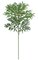 35" Coconut Palm - 289 Green Leaves - 17 Fronds