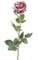 Single Snowy Crimson Rose Spray - 1 Red Flower - 5 Glittery Green Leaves