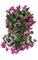 36 inches Bougainvillea Bush - 216 Leaves - 146 Flowers