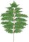 36" Hawaiian Fern Branch - 257 Leaves - Green - FIRE RETARDANT
