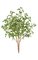 38 inches Birch Bush - 3 Stems - Light Green - 24 inches Foliage Height - 20 inches Width