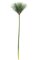 38 inches Faux Papyrus Stem - Green