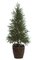 4 feet Plastic Picea Pine Tree - Natural Trunk - 1,320 Green Leaves