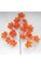 40" Canadian Maple Branch - 20 Red/Orange Leaves - 29" Width