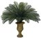 44" Cycas Palm Cluster - 36 Large Fronds - 68" Width - Tutone Green