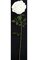 45 inches Velvet Rose Single Stem -Flower - 4 Green Leaf Clusters - 41 inches Stem