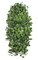 48" Pothos Bush - 456 Variegated Green/Cream Leaves - FIRE RETARDANT