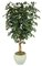 5' Ficus Tree - Natural Trunks - 1,140 Leaves - Green