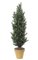 5' Podocarpus Bush - Synthetic Trunk - 21" Width - Tutone Green