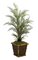 50" Plastic Asparagus Fern - 52 Green Leaves - Weighted Base