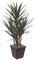 50" Plastic Yucca Plant - Fiberglass Trunks - 5 Heads - 100 Leaves - Green