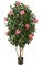 5.5' Hibiscus Tree - Natural Trunk - Hot Pink Flowers