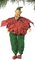 Earthflora's 9.5 Inch Elf Santa Ornament