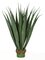 Earthflora's 36 Inch Large Outdoor UV Agave Pandanus Plant In Green Or Burgundy