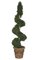 Polycaise Spiral - Natural Trunk - Green- Custom Made