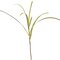 60 inches Plastic Flat Grass Plant - Green/Cream