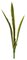Earthflora's 34 Inch Sansevieria Plant - Green/yellow Or Green  Indoor/Outdoor