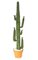 Plastic Saguaro Cactus - Green - Assembly Required - Bare Stem