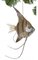 7 inches x 5 inches Tropical Fish Ornament - Silver/Brown