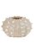 Polyresin Shell Planter - 4 inches Inside Height - 2 1/2 inches Opening - Cream