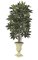 8' Schefflera Tree - Natural Trunks  - Green - Weighted Base