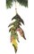 9.5 inches Beaded Acanthus Leaf Ornament - Black/Green