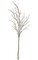 9 feet Plum Tree - 40 inches Stem - 35 inches Width