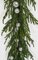 5 Foot Natural Touch Norfolk Pine Garland With Silver Balls