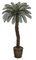 Cycas Palm Tree - Polyblend® Trunk - 36 Fronds - Bare Stem - Custom Made