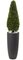 50” Boxwood Topiary with Gray Cylindrical Planter UV Resistant (Indoor/Outdoor)