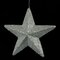Earthflora's 12 Inch Glittered Star Ornament - Silver