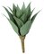 Earthflora's 15 Inch Outdoor Agave Plant