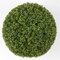 Earthflora's 20 Inch Outdoor Boxwood Ball - New Leaf Style