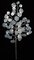 Earthflora's 24.5 Inch Silver Dollar Eucalyptus Spray - Champagne Or Iridescent