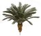 Earthflora's 3.5 Feet, 5.5 Feet, And 6.5 Feet Tall X 48 Inch Width - Polyblend Cycas Palm Trees