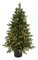 Earthflora's 48 Inch Wilshire Spruce Tree