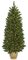 Earthflora's 5 Foot Potted Mixed Pine Tree