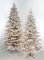 Earthflora's 7.5 Ft., 9 Ft., And 12 Ft. Snowy Flocked Polaris Slim Pine Tree With 3mm Multi-functional Led Lights