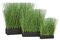 Earthflora's Planted Rectangle Pvc Onion Grass - 3 Sizes - 11 Inches, 16 Inches, And 19 Inches
