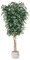 10 feet Ficus Tree - Natural Trunks - 6,048 Leaves