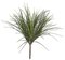26 inches Outdoor Liriope Onion Grass  - Tutone Green - 23 inches Width - Bare Stem