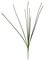 29" Spiky Grass Bush - 8 Green Wired Stems - Bare Stem