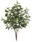 38" Ficus Bush - 3 Stems - Green - 24" Foliage Height - 20" Width